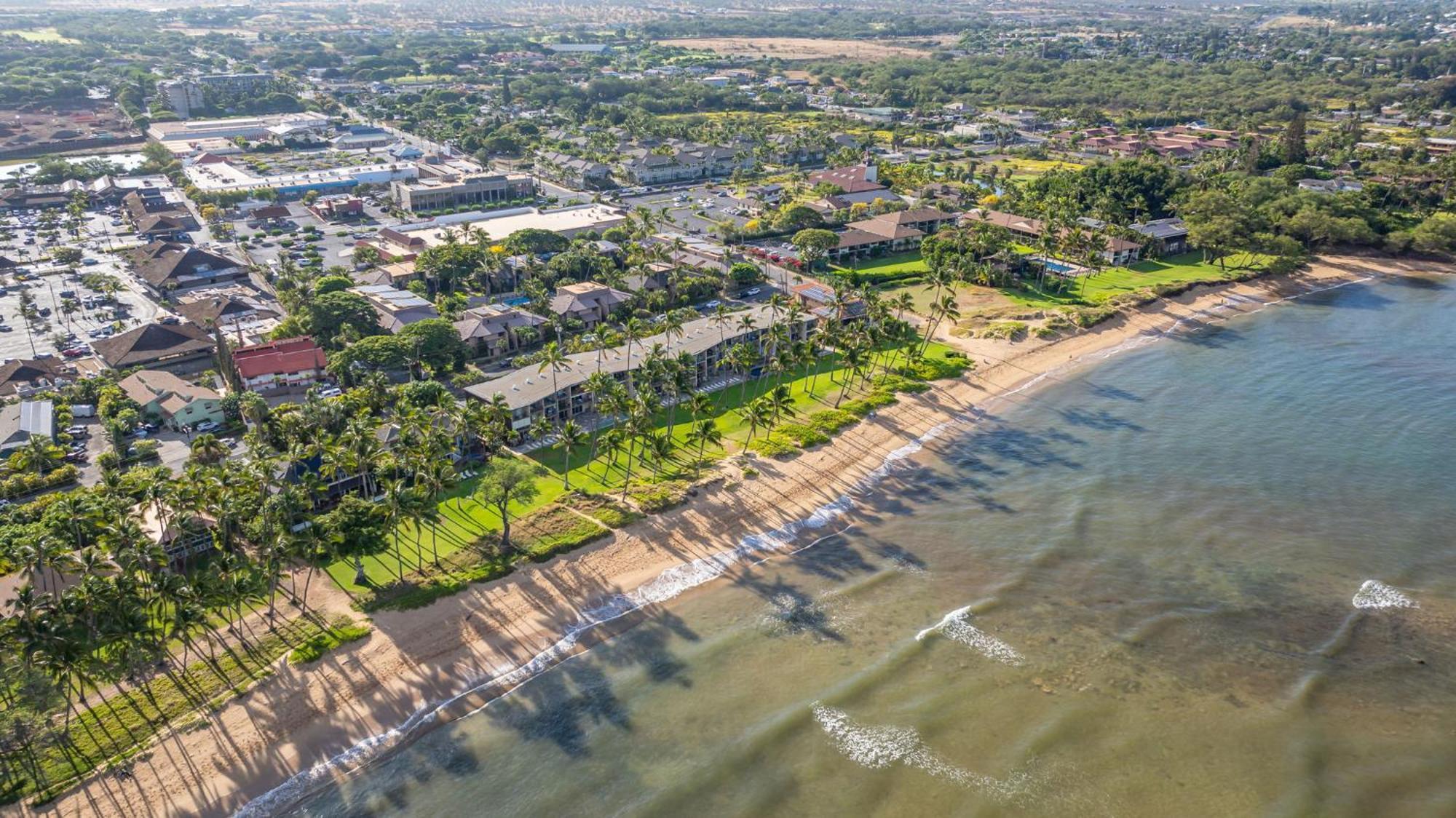 Hale Kai O'Kihei 317 Lägenhet Exteriör bild