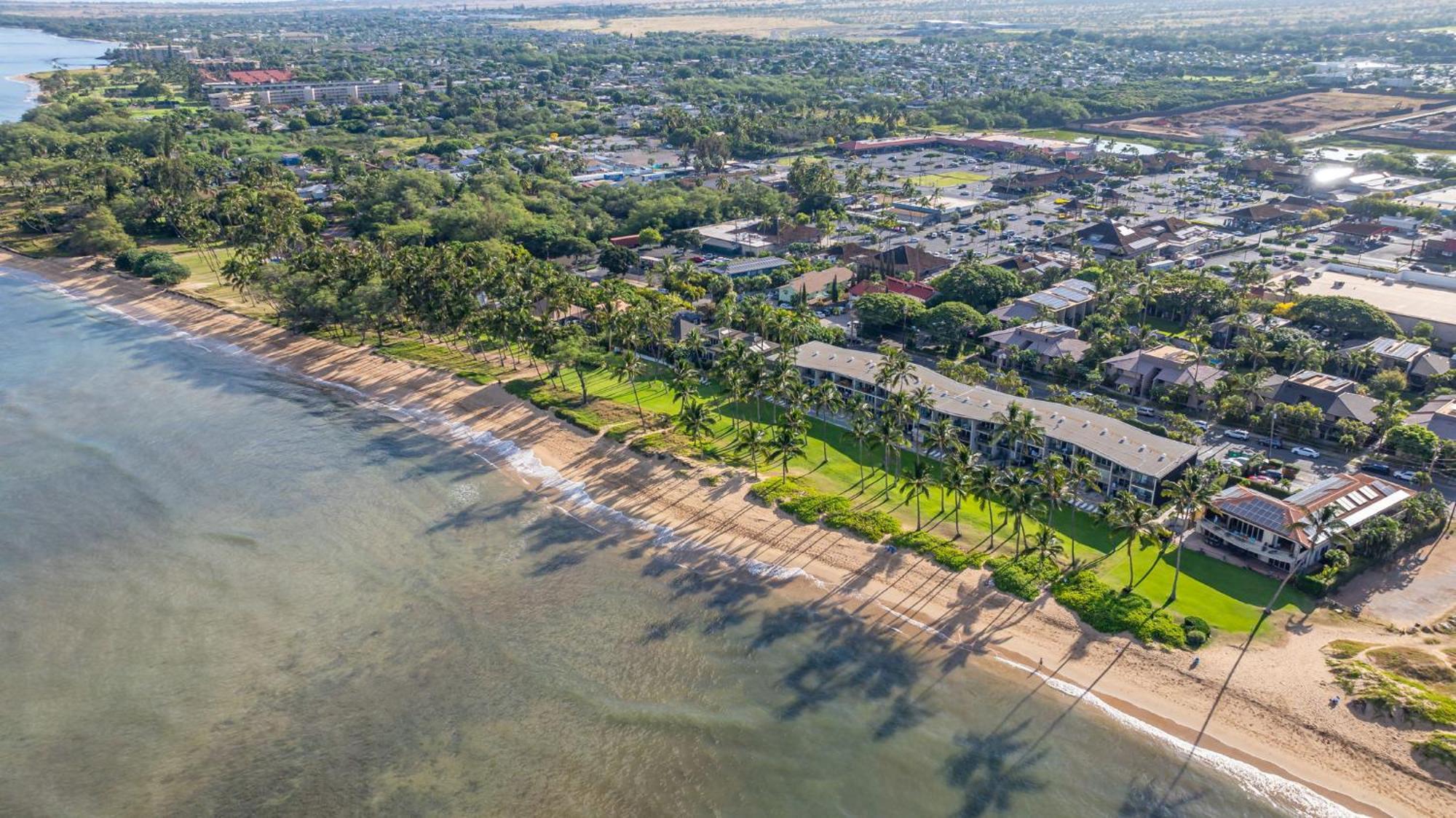 Hale Kai O'Kihei 317 Lägenhet Exteriör bild