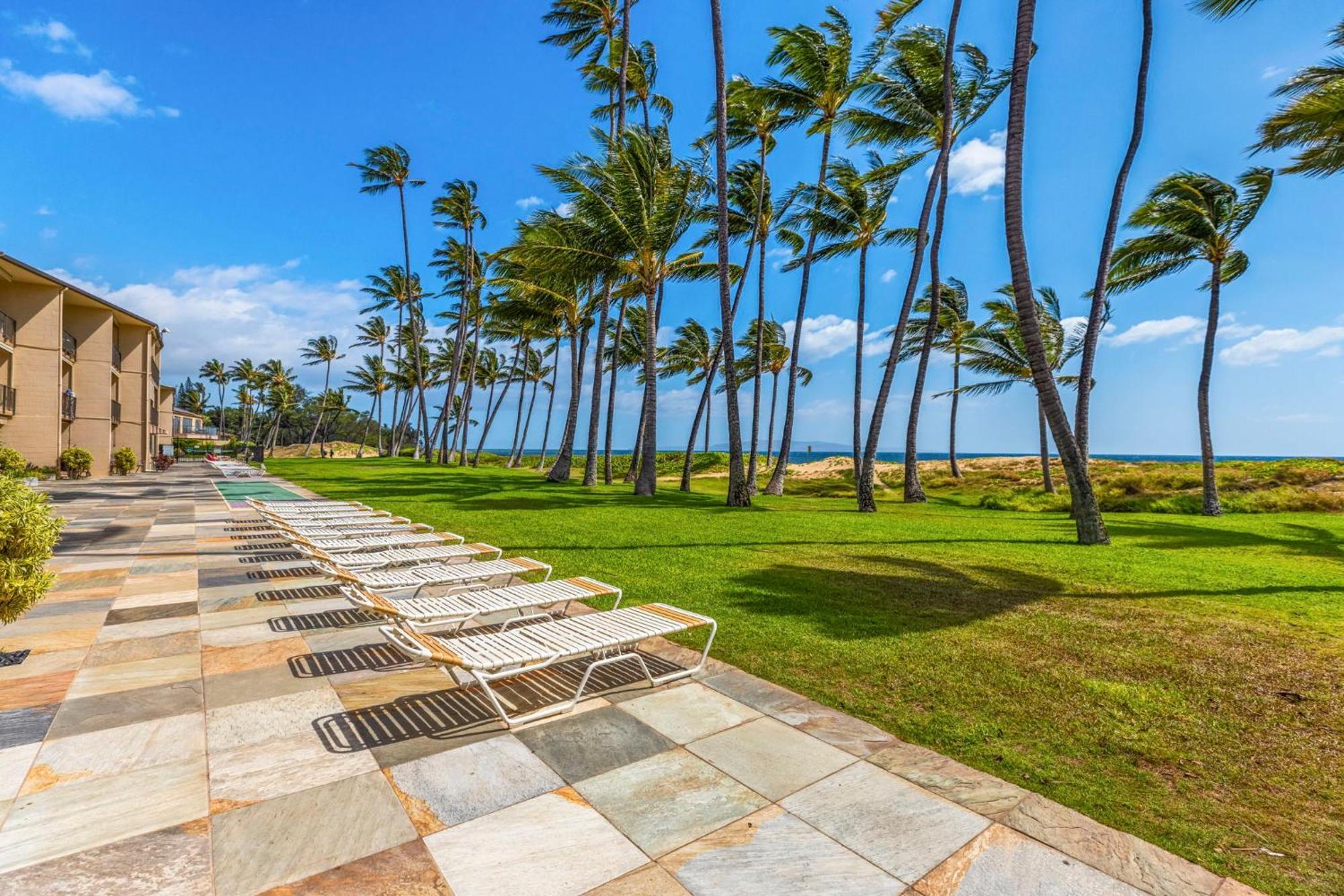 Hale Kai O'Kihei 317 Lägenhet Exteriör bild