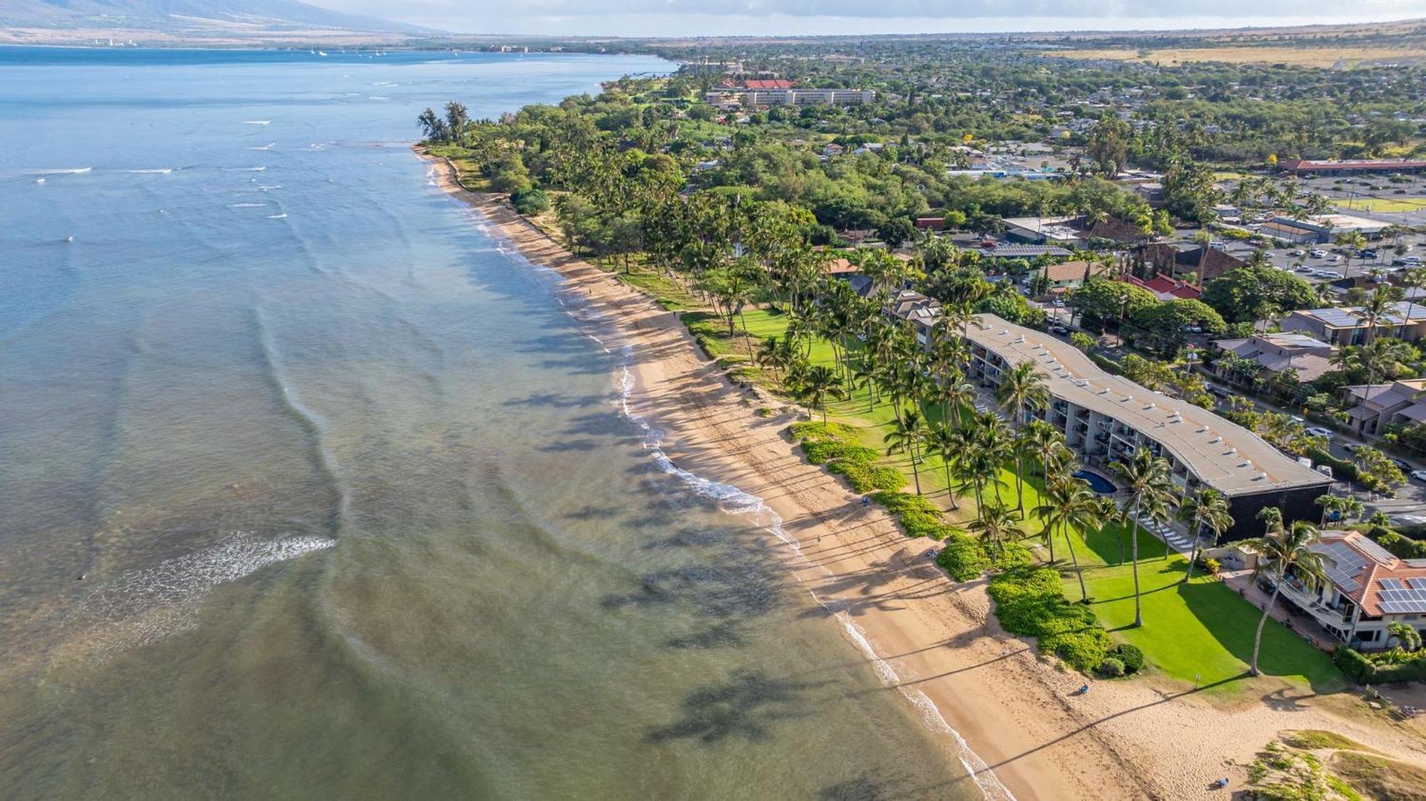 Hale Kai O'Kihei 317 Lägenhet Exteriör bild