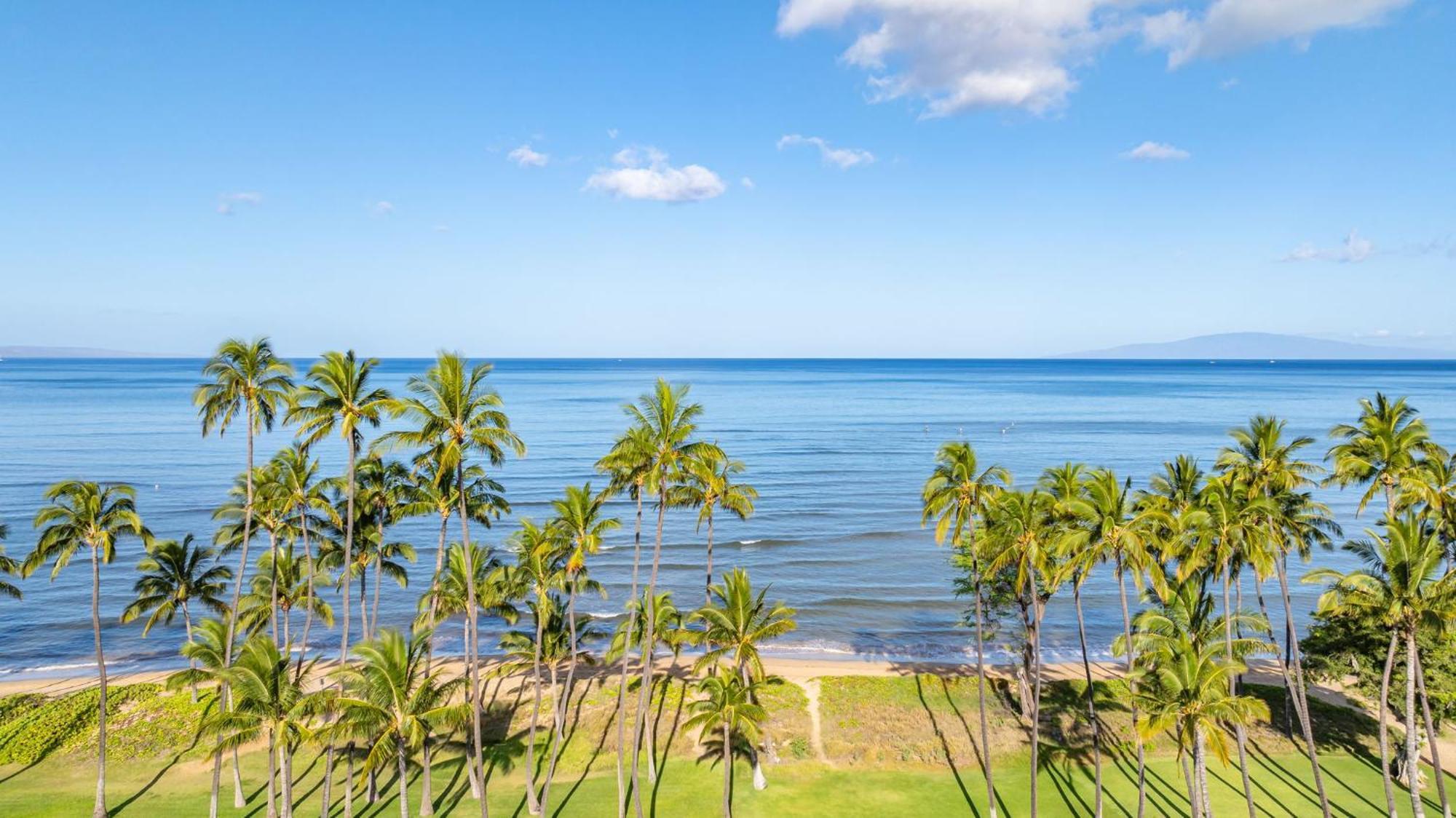 Hale Kai O'Kihei 317 Lägenhet Exteriör bild