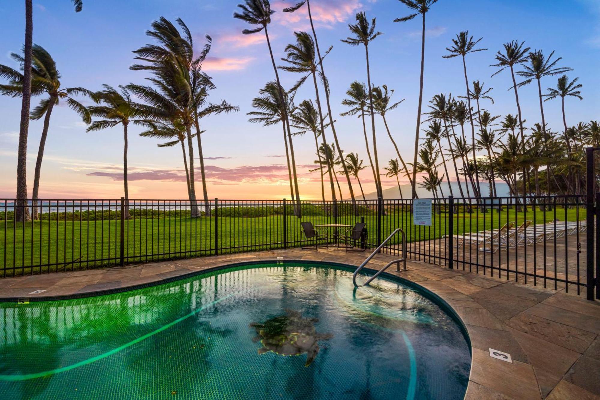 Hale Kai O'Kihei 317 Lägenhet Exteriör bild