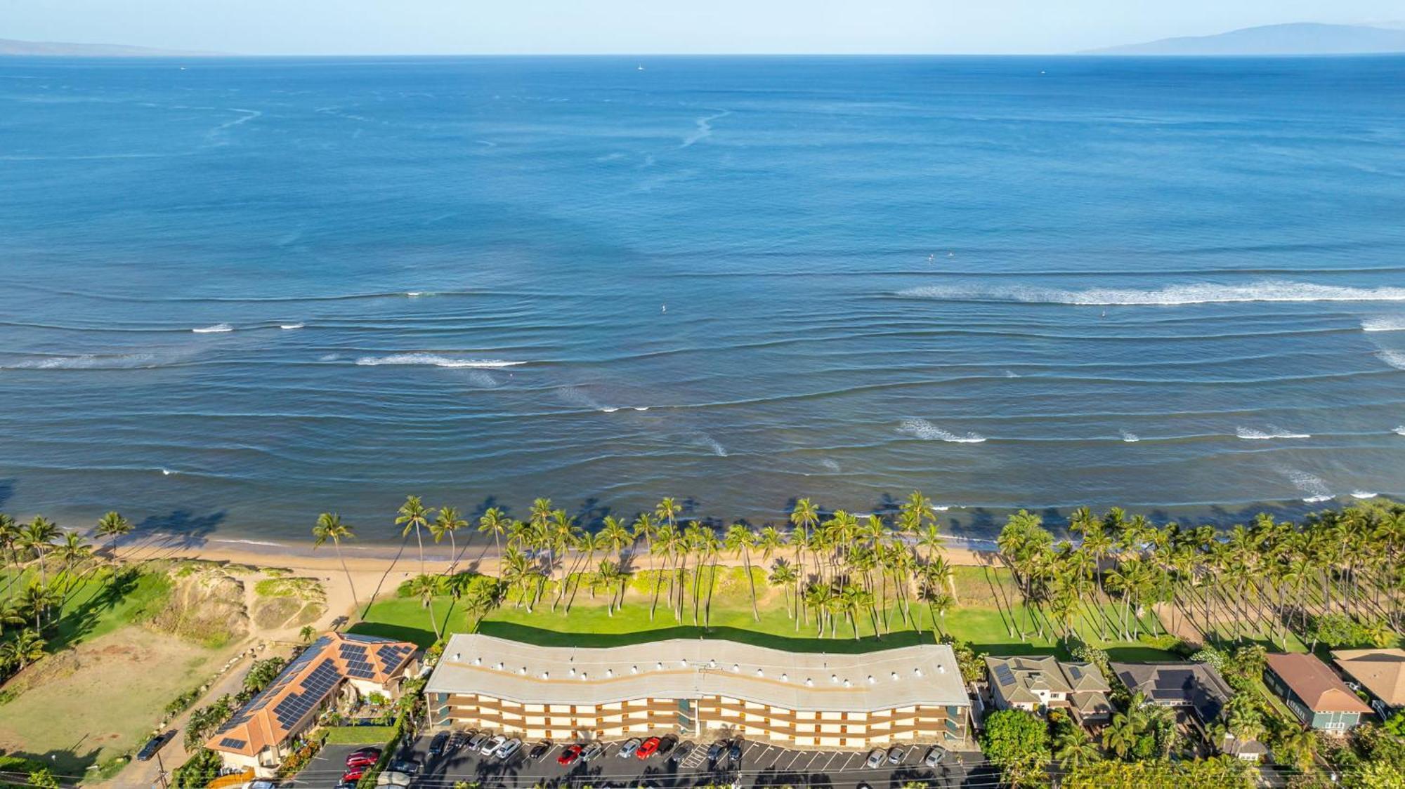 Hale Kai O'Kihei 317 Lägenhet Exteriör bild