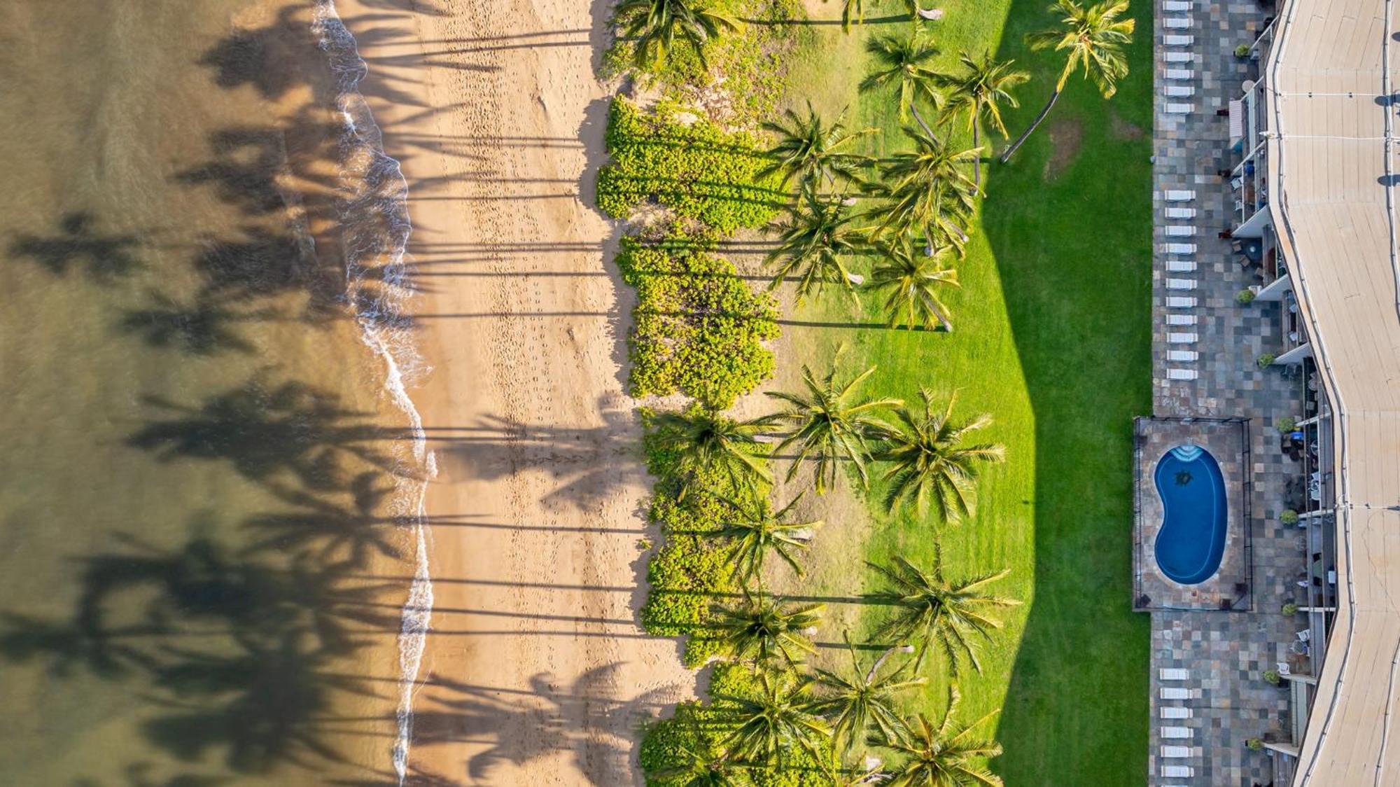 Hale Kai O'Kihei 317 Lägenhet Exteriör bild