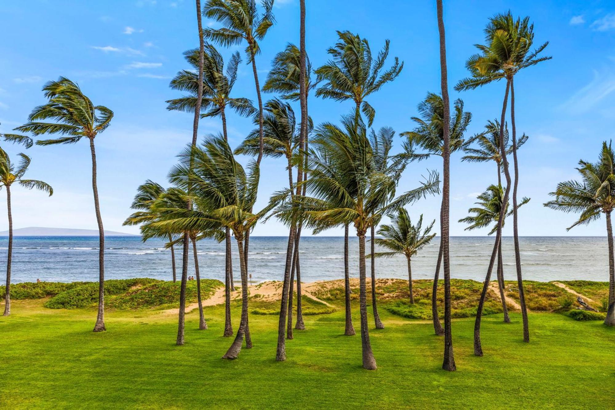 Hale Kai O'Kihei 317 Lägenhet Exteriör bild