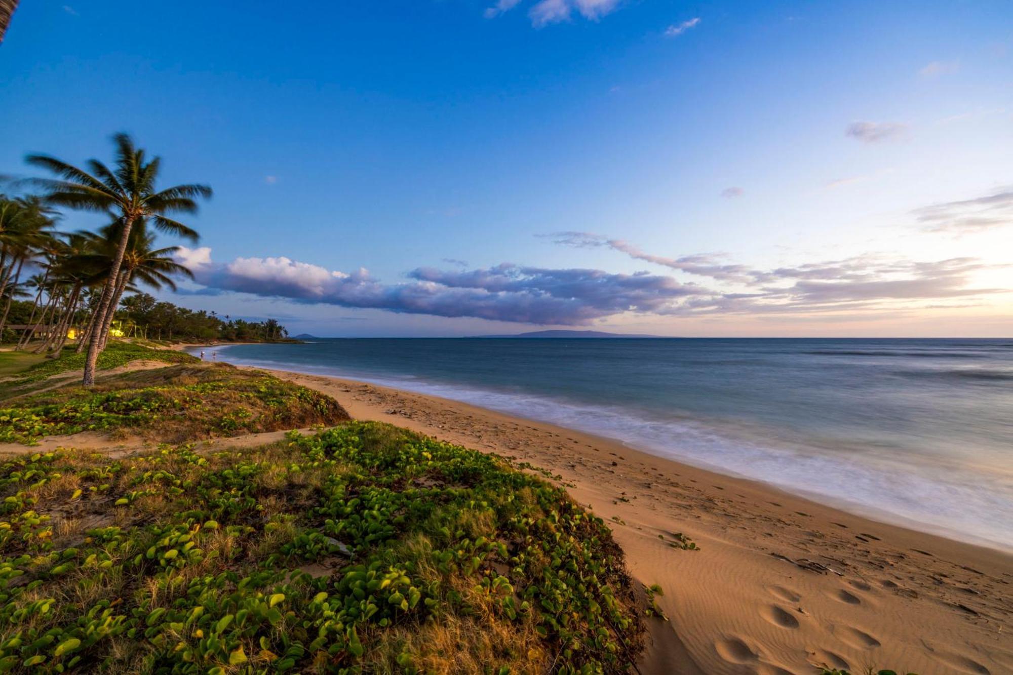 Hale Kai O'Kihei 317 Lägenhet Exteriör bild