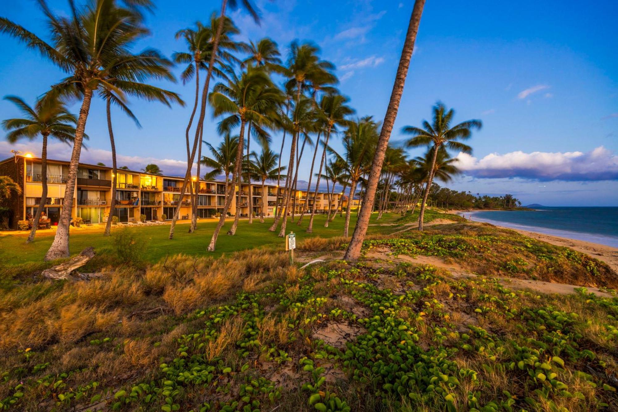 Hale Kai O'Kihei 317 Lägenhet Exteriör bild